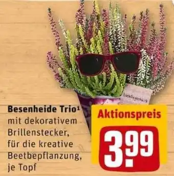 REWE City Besenheide Trio Angebot