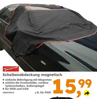 Globus Baumarkt TrendLine Scheibenabdeckung magnetisch Angebot