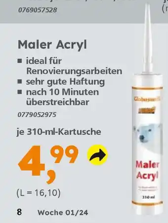 Globus Baumarkt Maler Acryl je 310-ml-Kartusche Angebot