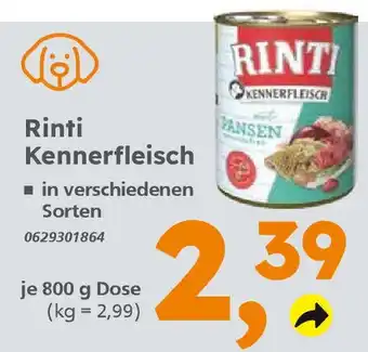 zwiebel knoblauch aufbewahrung Tupperware® Kleines Lager – Zwiebel- & Knoblauchbehälter mit Belüftung