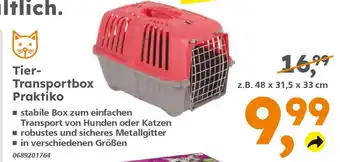 Globus Baumarkt Tier- Transportbox Praktiko Angebot