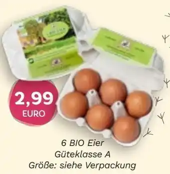 Edeka Niemerszein 6 BIO Eier Güteklasse A Angebot