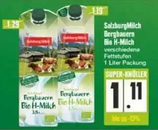 E-Center Salzburgmilch Bergbauern Bio H-milch Angebot