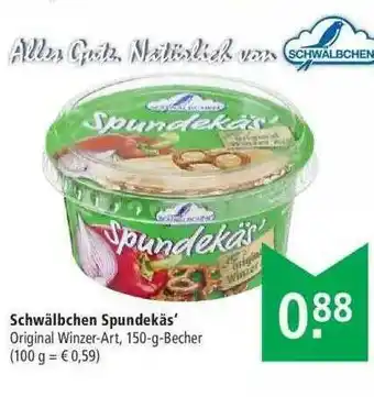 Marktkauf Schwälbchen Spundekäs Angebot