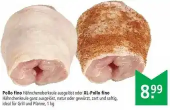 Marktkauf Pollo Fino Oder Xl Pollo Fino Angebot