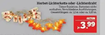 Marktkauf Herbst-lichterkette Oder -lichterdraht Angebot