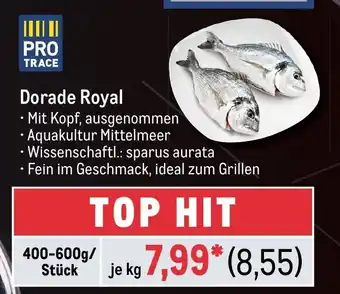 METRO PRO TRACE Dorade Royal je kg Angebot