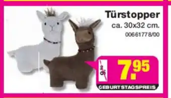 SOMIT Türstopper Angebot