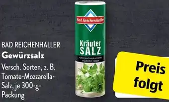 Aldi Süd BAD REICHENHALLER Gewürzsalz 300 g Packung Angebot