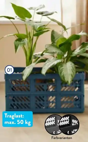 Aldi Nord HOME CREATION Profi-Klappbox Angebot