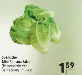 CITTI Markt Spanischer Mini-Romana-Salat (Römersalatherzen) 3er-Packung Angebot
