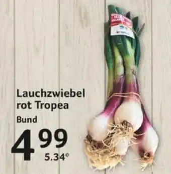 Selgros Lauchzwiebel rot Tropea Bund Angebot