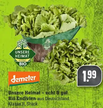 Edeka Neukauf Unsere Heimat echt & gut Bio Endivien Angebot