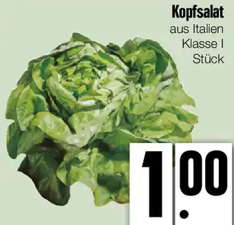 Edeka Xpress Kopfsalat Angebot