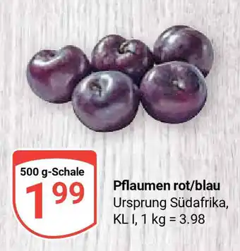 Globus Pflaumen rot/blau Ursprung Südafrika, KL I, 500 g-Schale Angebot