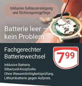 Globus Fachgerechter Batteriewechsel Angebot