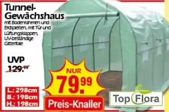 Wreesmann Top Flora Tunnel-Gewächshaus Angebot