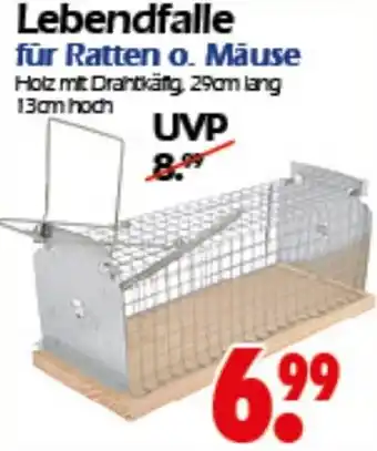 Wreesmann Lebendfalle für Ratten o. Mäuse Angebot