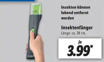 Lidl Insektenfänger Angebot