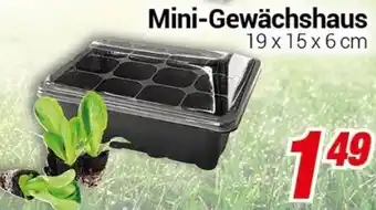 CENTERSHOP Mini-Gewächshaus Angebot