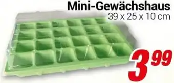 CENTERSHOP Mini-Gewächshaus Angebot