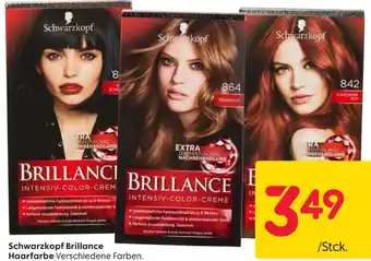 Rusta Schwarzkopf Brillance Haarfarbe Angebot