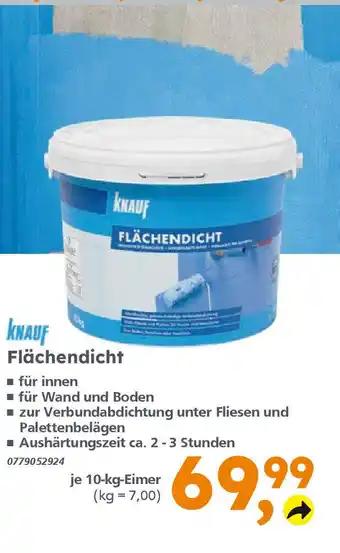 Globus Baumarkt KNAUF FLÄCHENDICHT 10лп Angebot