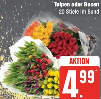 Edeka Tulpen oder Rosen 20 Stiele Angebot