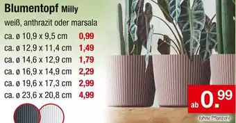 Zimmermann Blumentopf Milly Angebot