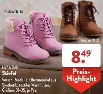 Aldi Süd LILY & DAN Stiefel Angebot