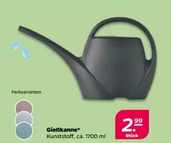 NETTO Gießkanne Kunststoff, ca. 1700 ml Angebot