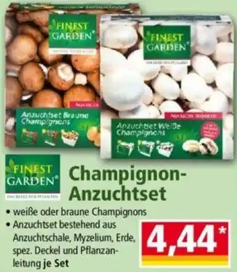 Norma FINEST GARDEN Champignon-Anzuchtset Angebot