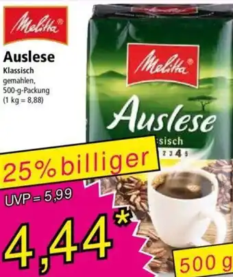 Norma Melitta Auslese 500 g Packung Angebot