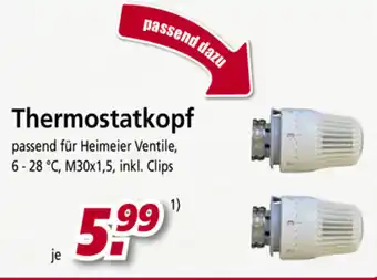 bauSpezi Thermostatkopf Angebot