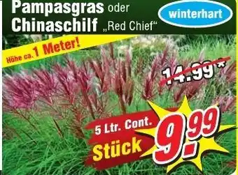 Wiglo Wunderland Pampasgras oder Chinaschilf Red Chief Angebot