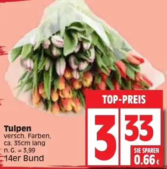 Edeka Tulpen 14er Bund Angebot