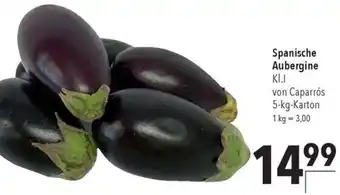 CITTI Markt Spanische Aubergine 5 kg Karton Angebot