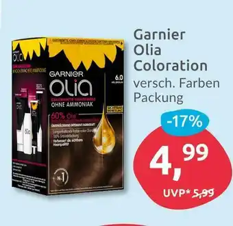 Budni Garnier haarfärbemittel Angebot