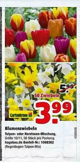 Hagebau Blumenzwiebeln Gartenkrone Angebot