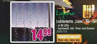 Hornbach Lafiora Lichterkette „liane” Angebot