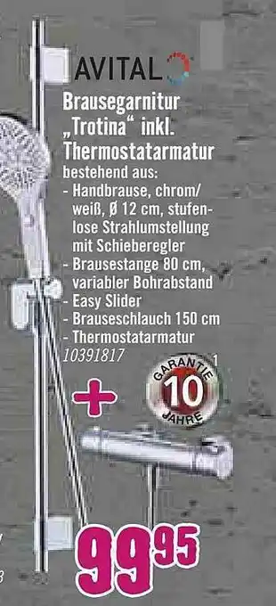 Hornbach Avital Brausegarnitur „trotina” Angebot