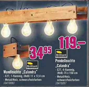 Hornbach Brilliant Pendelleuchte Oder Wandleuchte „calandra” Angebot