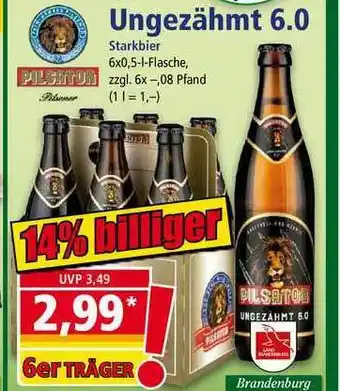 Norma Ungezähmt 6.0 Pilsator Angebot