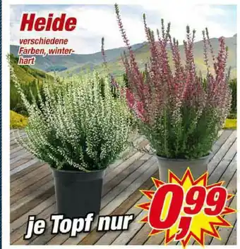 Posten Börse Heide Angebot