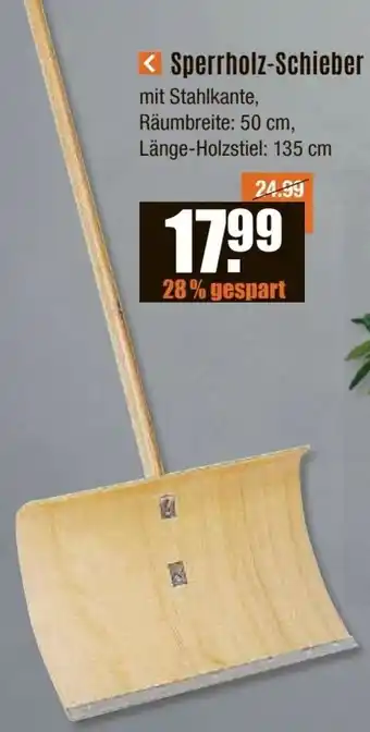 V Baumarkt Sperrholz-Schieber Angebot