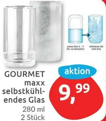 Budni GOURMETmaxx selbstkühlendes Glas 280 ml Angebot