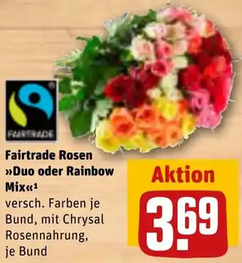 REWE Fairtrade Rosen Duo oder Rainbow Mix Angebot