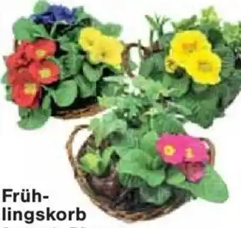 Jawoll Frühlingskorb 19 cm Korb Angebot