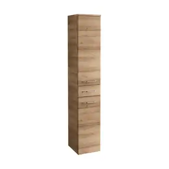 toom Baumarkt Hochschrank 'milano' asteiche 30,5 x 165,5 x 32 cm Angebot