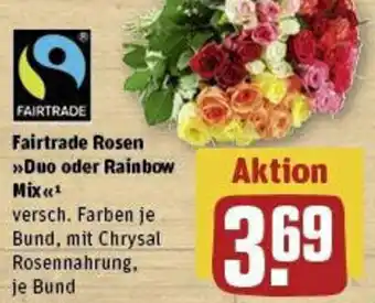 REWE FAIRTRADE Fairtrade Rosen >>Duo oder Rainbow Mix Angebot